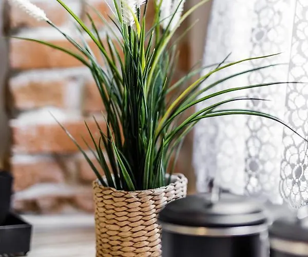 Rzeznicza 24 Apartman *